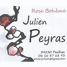 logo-domaine-julien-peyras